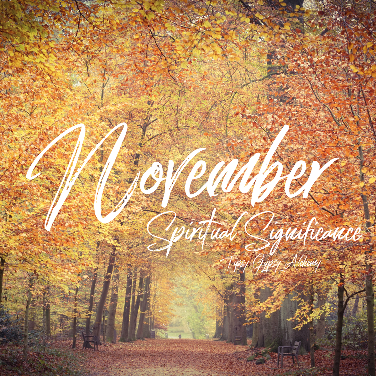 WHAT IS SO IMPORTANT ABOUT NOVEMBER ON YOUR SPIRITUAL JOURNEY? – Tipsy ...