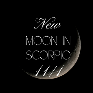 New Moon in Scorpio 11/2024